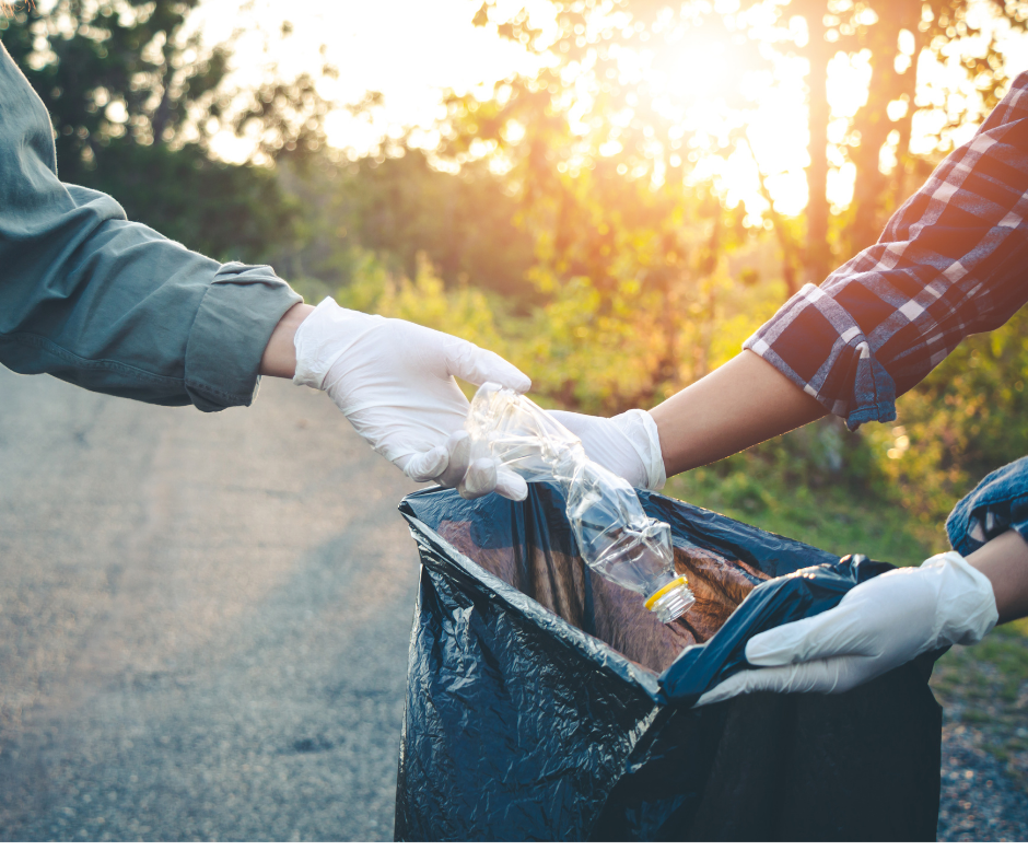 Cleanout- throwing a bottle in a recycling bag