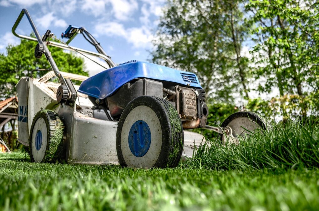 backyard clean up