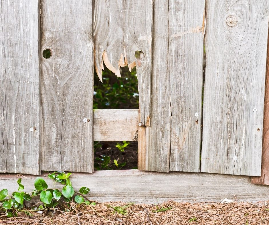 deck and fence removal- worn out fence