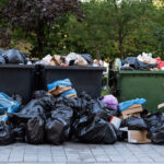 garbage removal vs. dumpster rental