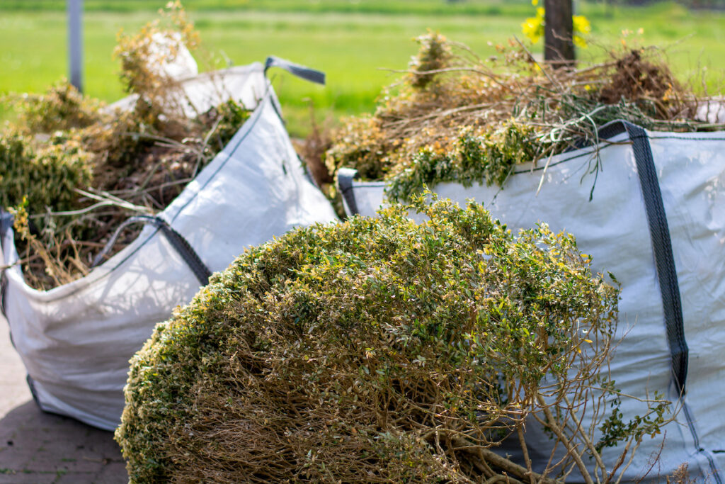 yard waste removal