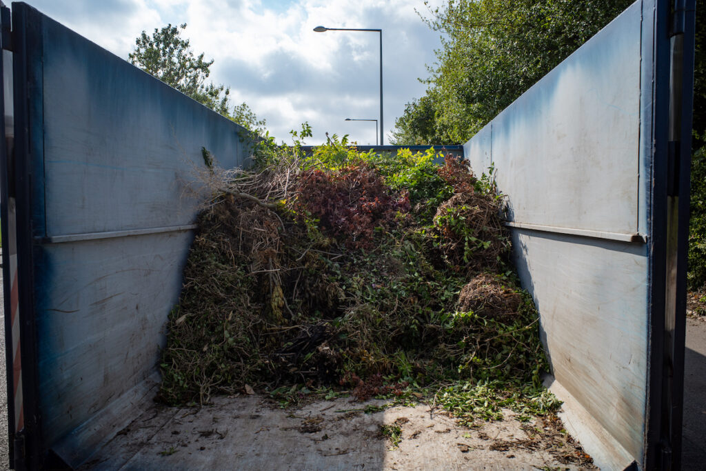 yard waste removal